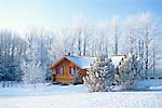 cottage winter